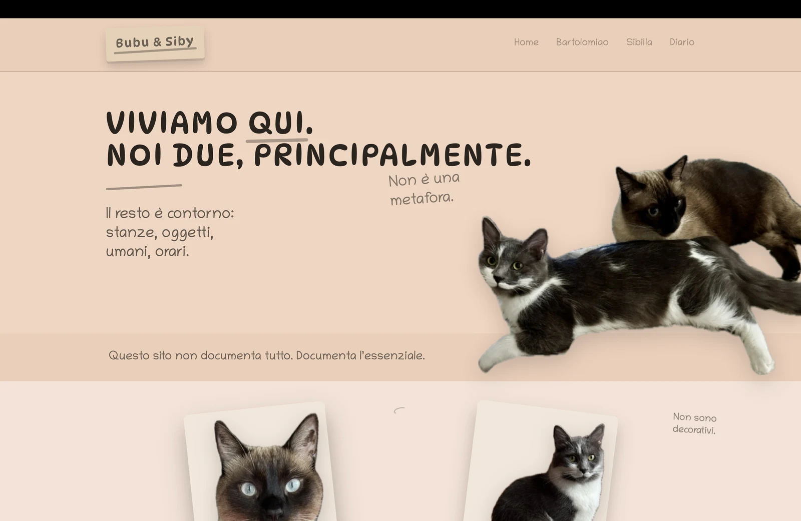 Bubu & Siby: i due gatti protagonisti del sito personale